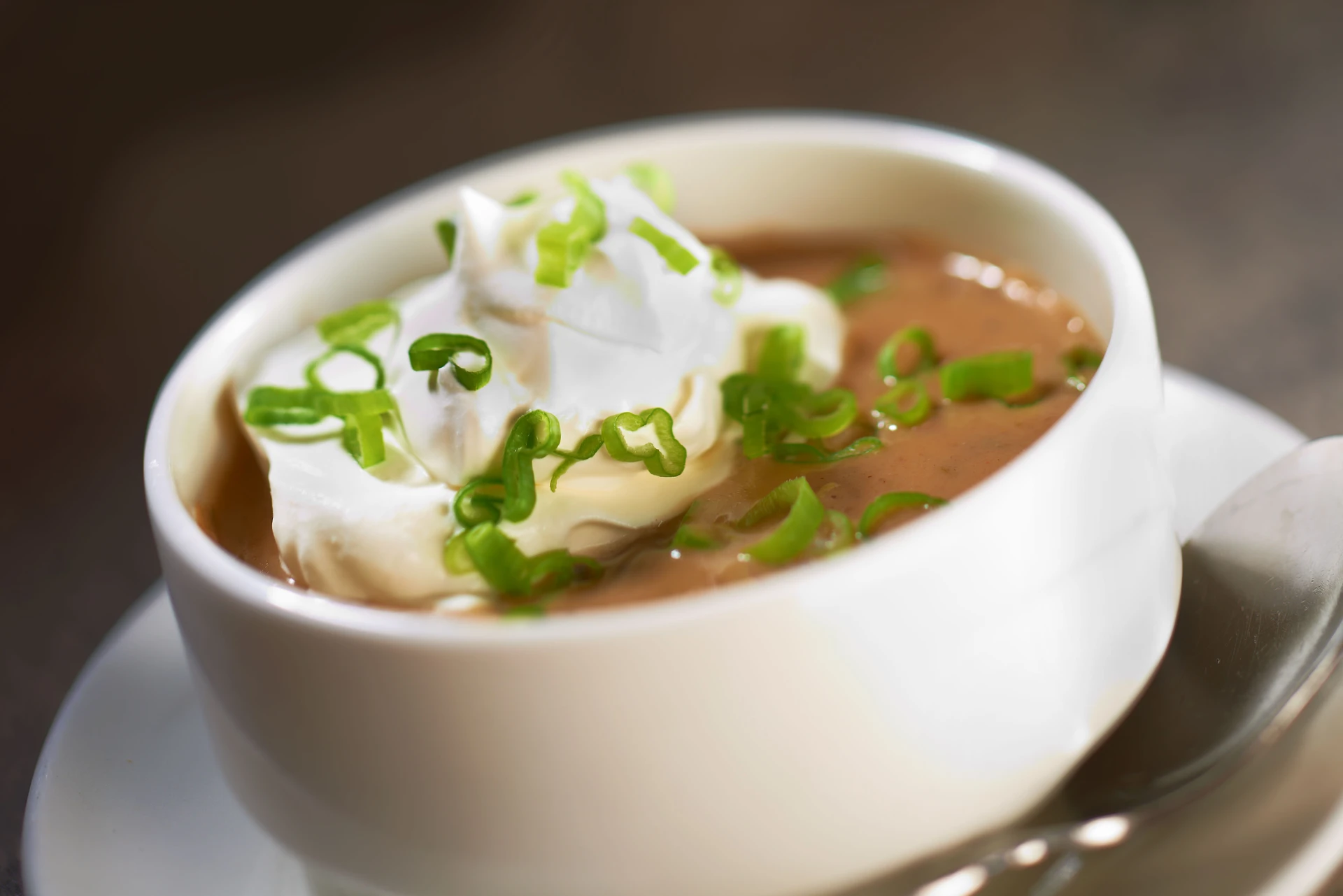 Cream of Mushroom Soup: Roasted Mushrooms, Beef Broth, Truffle Cream, and Chives